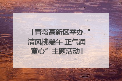 青岛高新区举办“清风拂端午 正气润童心”主题活动
