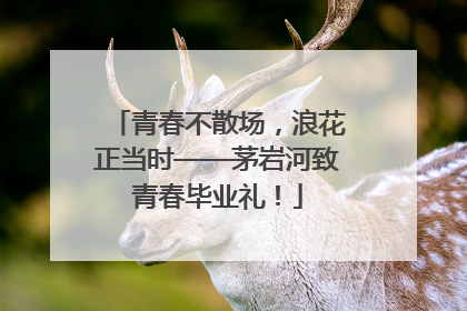 青春不散场，浪花正当时——茅岩河致青春毕业礼！