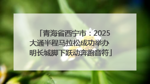 青海省西宁市：2025大通半程马拉松成功举办 明长城脚下跃动奔跑音符