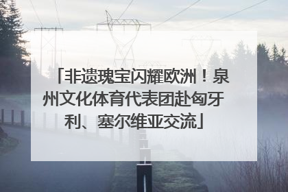 非遗瑰宝闪耀欧洲！泉州文化体育代表团赴匈牙利、塞尔维亚交流