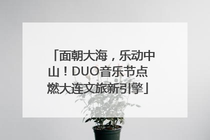 面朝大海，乐动中山！DUO音乐节点燃大连文旅新引擎