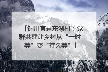 铜川宜君东湖村：党群共建让乡村从“一时美”变“持久美”