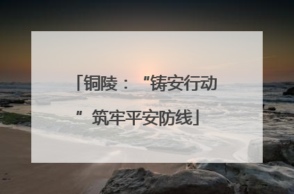 铜陵：“铸安行动”筑牢平安防线