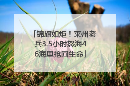 锦旗如炬！莱州老兵3.5小时怒海46海里抢回生命