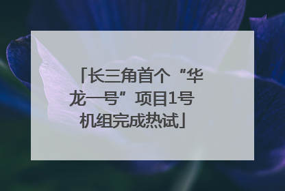 长三角首个“华龙一号”项目1号机组完成热试