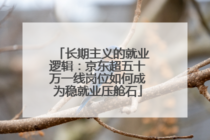 长期主义的就业逻辑：京东超五十万一线岗位如何成为稳就业压舱石