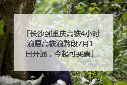 长沙到重庆高铁4小时 渝厦高铁渝黔段7月1日开通，今起可买票