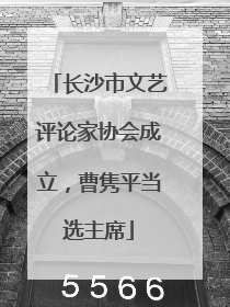 长沙市文艺评论家协会成立，曹隽平当选主席