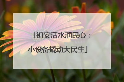 镇安活水润民心：小设备撬动大民生
