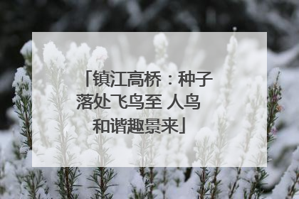 镇江高桥：种子落处飞鸟至 人鸟和谐趣景来