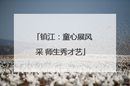 镇江：童心展风采 师生秀才艺
