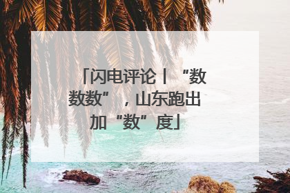 闪电评论丨“数数数”，山东跑出加“数”度