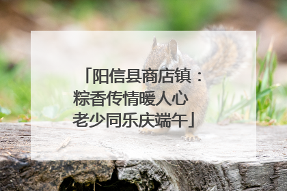 阳信县商店镇：粽香传情暖人心 老少同乐庆端午