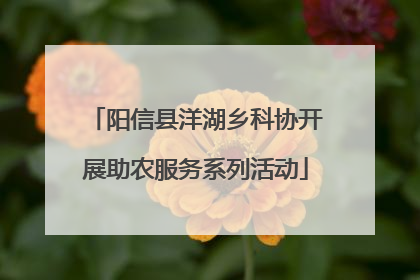 阳信县洋湖乡科协开展助农服务系列活动