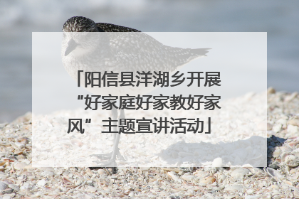 阳信县洋湖乡开展“好家庭好家教好家风”主题宣讲活动