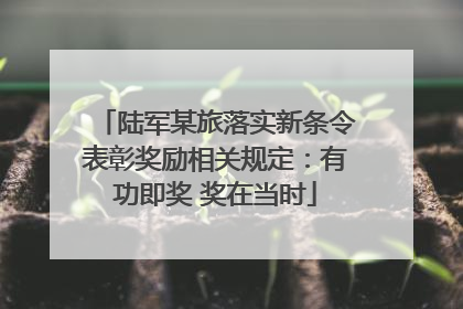 陆军某旅落实新条令表彰奖励相关规定：有功即奖 奖在当时