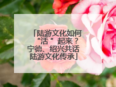 陆游文化如何“活 ”起来？宁德、绍兴共话陆游文化传承