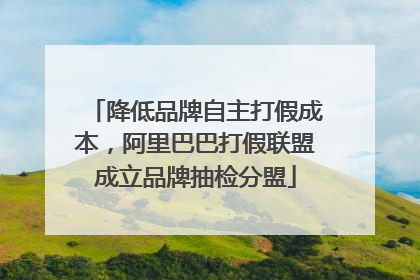 降低品牌自主打假成本，阿里巴巴打假联盟成立品牌抽检分盟