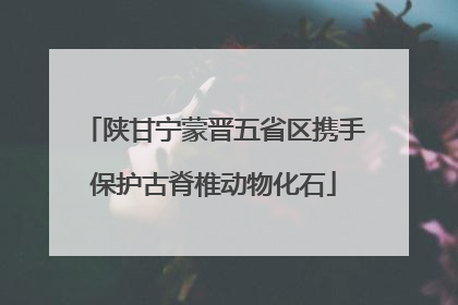 陕甘宁蒙晋五省区携手保护古脊椎动物化石