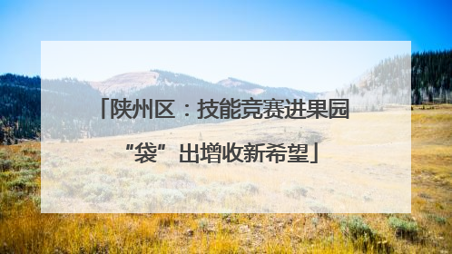 陕州区：技能竞赛进果园 “袋”出增收新希望