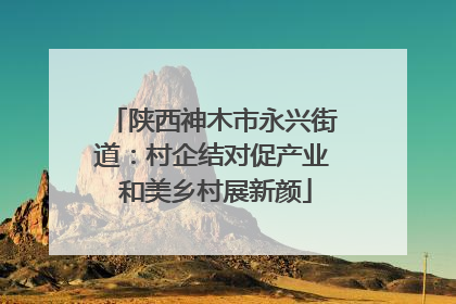 陕西神木市永兴街道：村企结对促产业 和美乡村展新颜