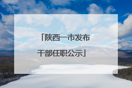 陕西一市发布干部任职公示