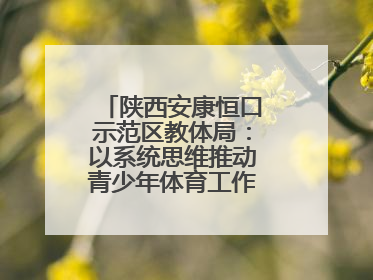 陕西安康恒口示范区教体局：以系统思维推动青少年体育工作高质量发展