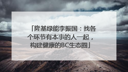 隆基绿能李振国：找各个环节有本事的人一起，构建健康的BC生态圈