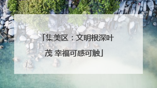 集美区：文明根深叶茂 幸福可感可触
