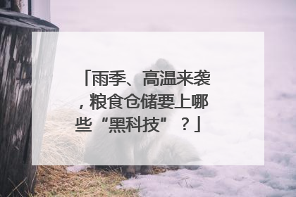 雨季、高温来袭，粮食仓储要上哪些“黑科技”？