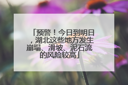 预警！今日到明日，湖北这些地方发生崩塌、滑坡、泥石流的风险较高