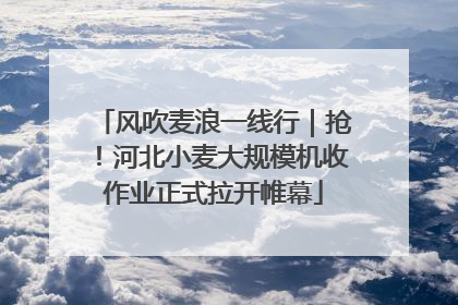 风吹麦浪一线行｜抢！河北小麦大规模机收作业正式拉开帷幕