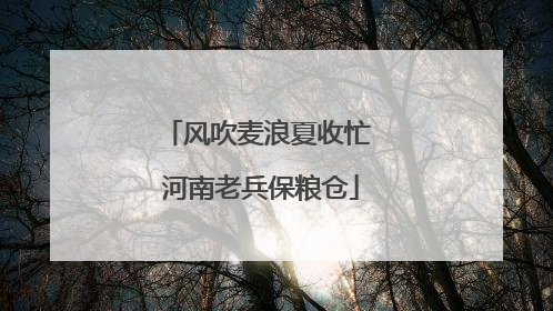 风吹麦浪夏收忙 河南老兵保粮仓