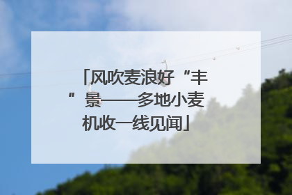 风吹麦浪好“丰”景——多地小麦机收一线见闻