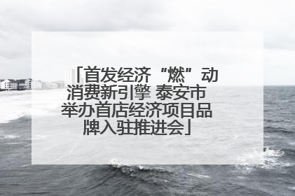 首发经济“燃”动消费新引擎 泰安市举办首店经济项目品牌入驻推进会