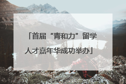 首届“青和力”留学人才嘉年华成功举办
