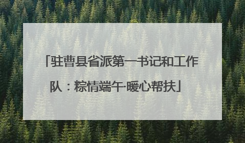 驻曹县省派第一书记和工作队：粽情端午·暖心帮扶