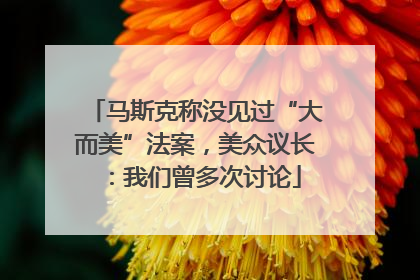 马斯克称没见过“大而美”法案，美众议长：我们曾多次讨论