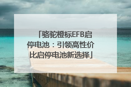 骆驼橙标EFB启停电池：引领高性价比启停电池新选择