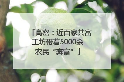 高密：近百家共富工坊带着5000余农民“奔富”