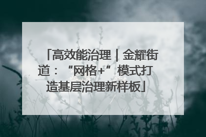 高效能治理｜金耀街道：“网格+”模式打造基层治理新样板