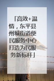 高效+温情，东平县州城街道便民服务中心打造为民服务新标杆
