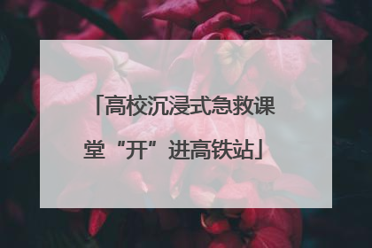 高校沉浸式急救课堂“开”进高铁站