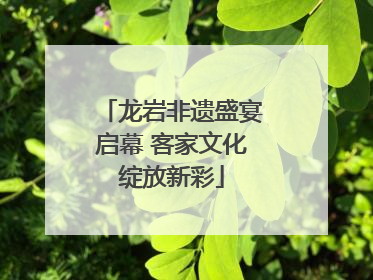 龙岩非遗盛宴启幕 客家文化绽放新彩