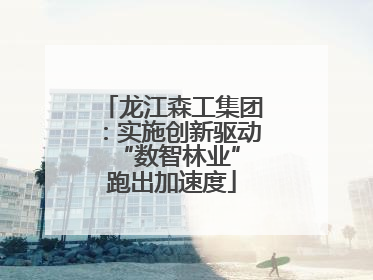 龙江森工集团：实施创新驱动 “数智林业”跑出加速度