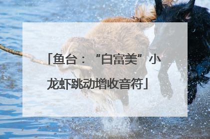 鱼台：“白富美”小龙虾跳动增收音符
