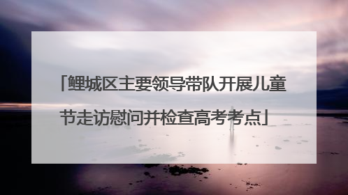 鲤城区主要领导带队开展儿童节走访慰问并检查高考考点