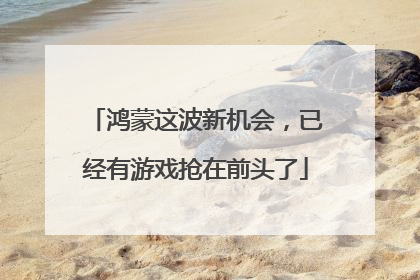 鸿蒙这波新机会，已经有游戏抢在前头了