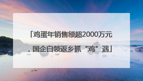 鸡蛋年销售额超2000万元，国企白领返乡抓“鸡”遇