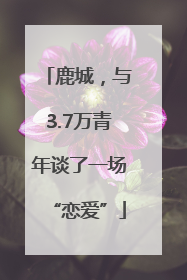 鹿城，与3.7万青年谈了一场“恋爱”